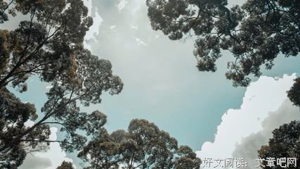 生活已经很累，别让心更累