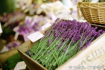 悦读优美的句子