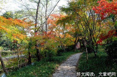 这些都是我在爱着你优美的句子