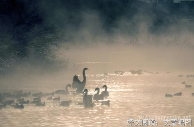一眼浮生的句子