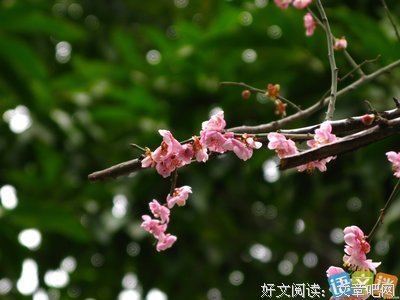 《風月》的句子