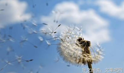 心情名句欣赏