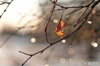 关于随笔的句子