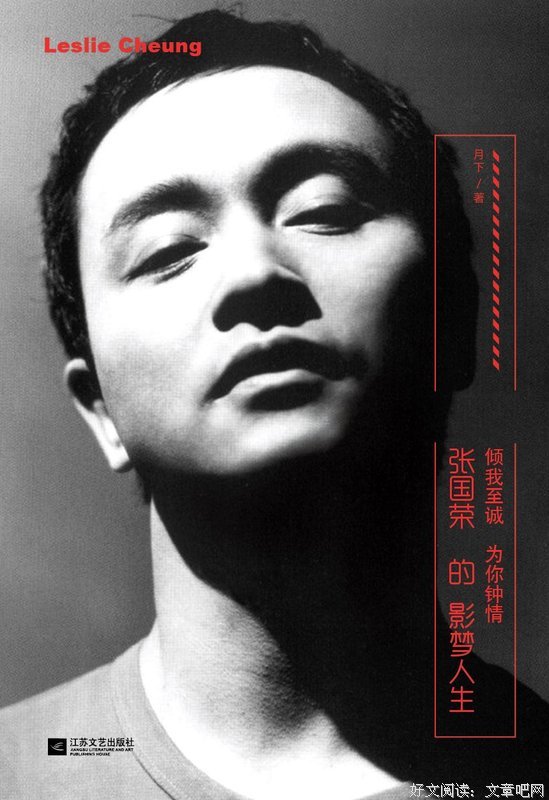 《念你眉眼如初 张国荣传》读后感1000字