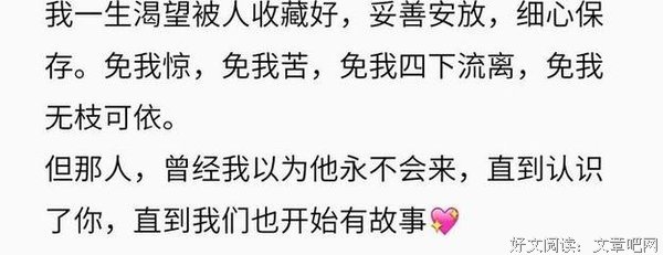 不负如来不负卿经典读后感有感
