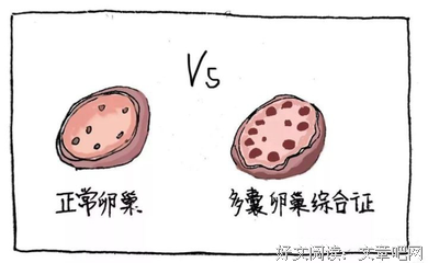 有关反反复复的美文美句摘抄