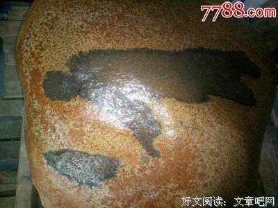 有舍，必有得