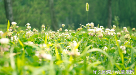 有关坎坷的句子
