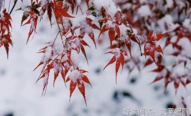 别把善良给错了人