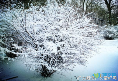 关于莫着便过的句子