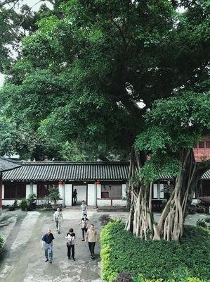学佛，学着以积极的心态来生活