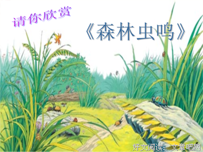 我将敢于亲吻你读后感摘抄