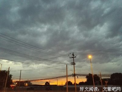 《权力的悖论》的读后感大全