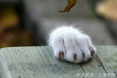 描写贪生怕死的经典句子