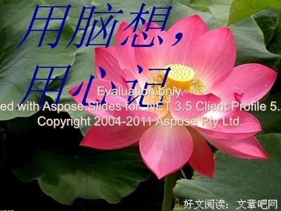 描写敷衍了事的经典句子