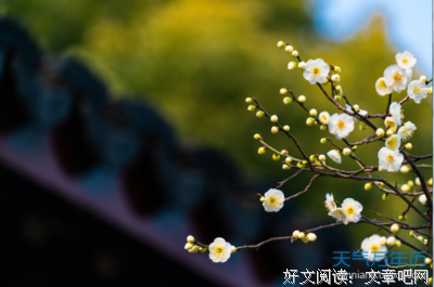 15条关于保暖的经典语句