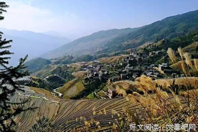 早读：苦是人生，忍是历练