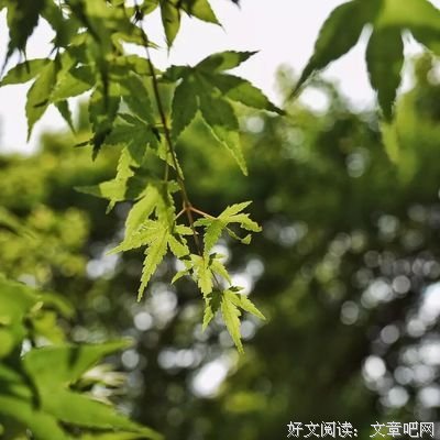 伴读 