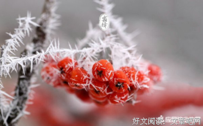 关于的而觉年种你的道这多打是年种多过的句子