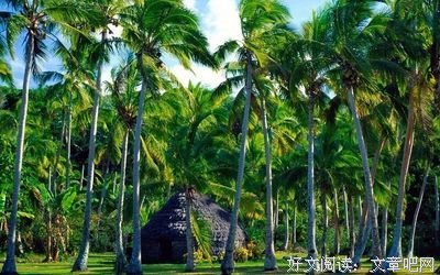 在理句子大全