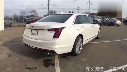 诗心枫