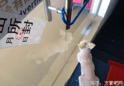 《凶案现场》经典观后感1000字