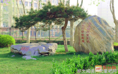 关于追人一百招的优美句子