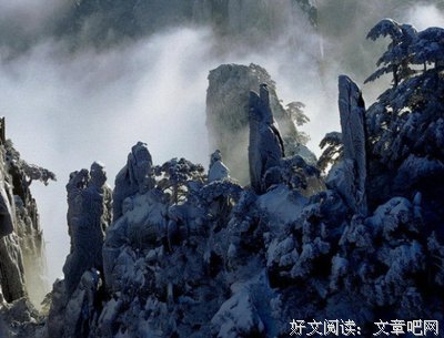 情感收藏经典名句
