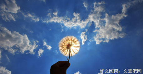 有关我愿个人颠沛流离的句子