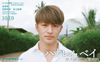 《哈纳莱伊湾》好看吗？经典影评锦集