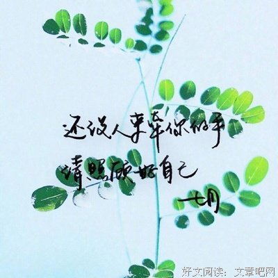 情的优美句子