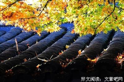陶渊明的遗产读后感100字