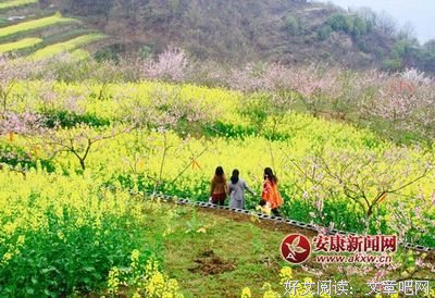 《无愁河的浪荡汉子·八年（上卷）》经典读后感有感