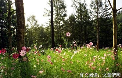 生活，让我们懂得！
