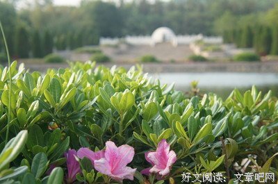 描写居无定所的经典句子