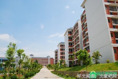 通知，开学后终于要取消这个了，家长都看看！