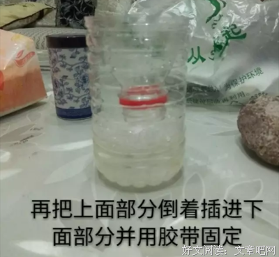 我不吃猫狗，你随意
