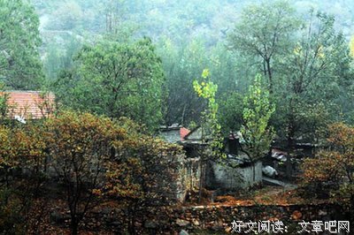 最新的《美人何处》好段摘抄大全