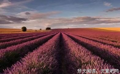 路走不通，绕着走；事想不通，换角度！