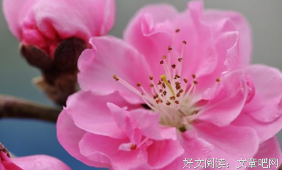 我喜欢优美的句子