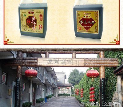 《宫崎骏：十年一梦》经典观后感有感