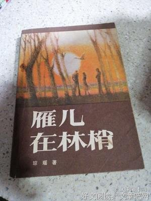 《雁儿在林梢》观后感摘抄
