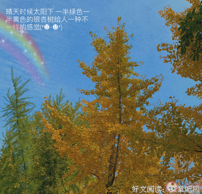 一叶优美的句子