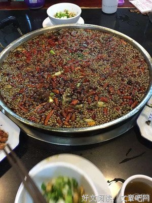 灯火阑珊读后感100字