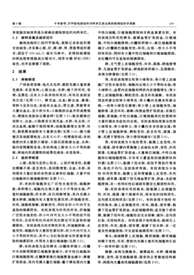 阿米巴经营（实战篇）读后感100字