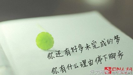 嗤之以鼻的语句摘抄_关于嗤之以鼻的语句
