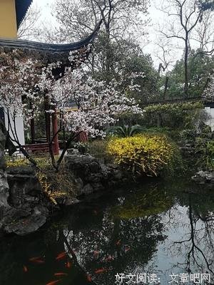 苦寒的句子