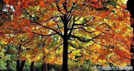 描写回味无穷的经典句子