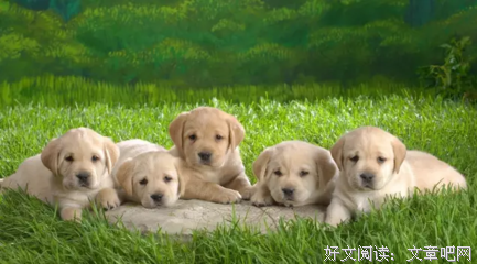 蝇营狗苟的名人名言