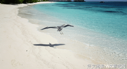 关于汪洋大海的语句